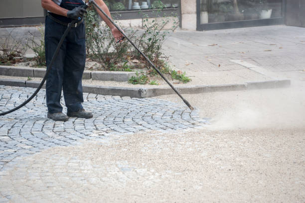 Best Warehouse Cleaning  in Woodmoor, CO